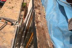 347422760_288903087047820_7623280528807549857_n