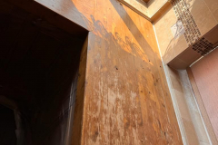 347427210_288902203714575_8868135365730444146_n