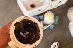 347446403_288901697047959_953707518335245688_n