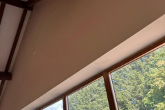 347448566_288902643714531_1769236109855903300_n