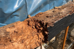 347562167_288903007047828_155105152736230248_n