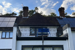 400126824_358434456761349_1614311431107352083_n