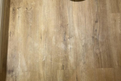 332052380_6492476994102772_57204079830364019_n