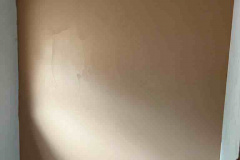 299733046_169436445661152_2237577998689643540_n