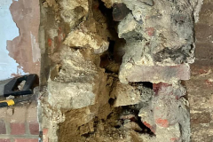 273047869_118598494062374_6723038450484813736_n