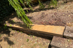 347438561_277168521554610_1015889949658101727_n