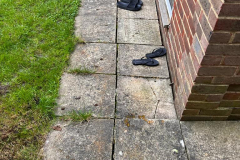 395396653_350125834258878_2149751513142526087_n