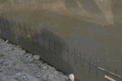 273714810_118593957396161_7838856106482744432_n