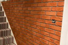 273676728_118607704061453_1859719305476600825_n